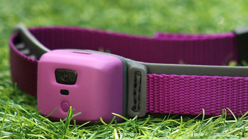 Collar inteligente PetPace