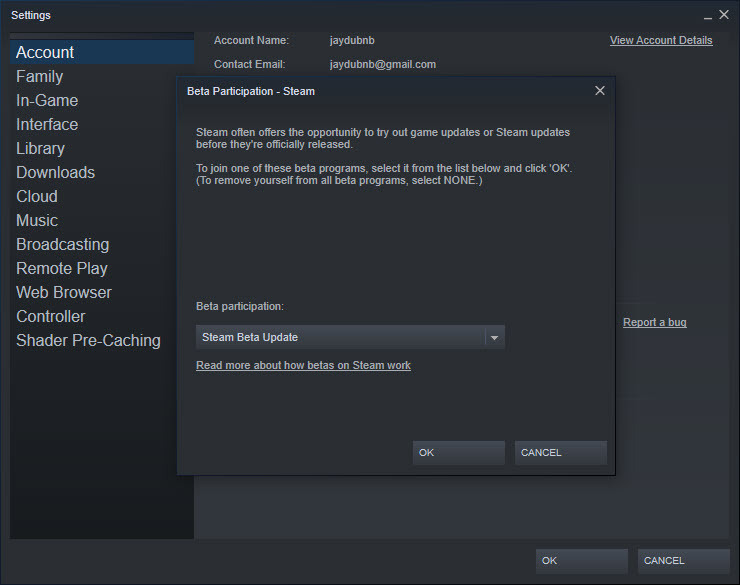 Steam-Beta-Programm