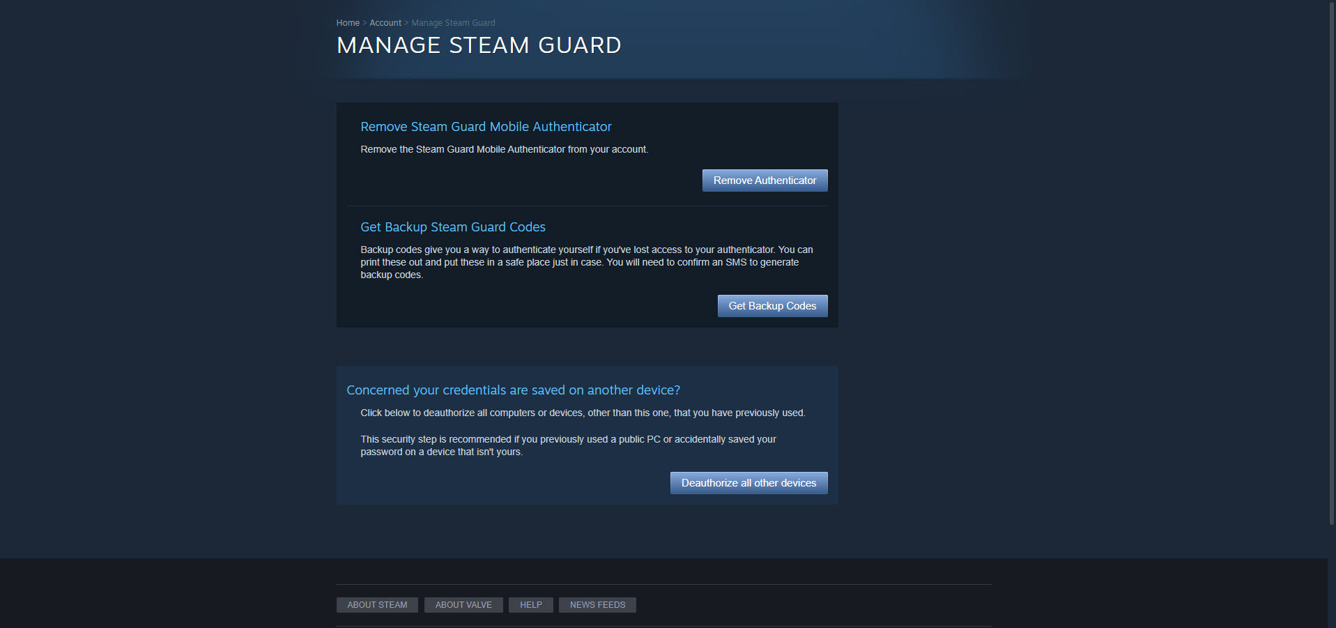 Steam Guard