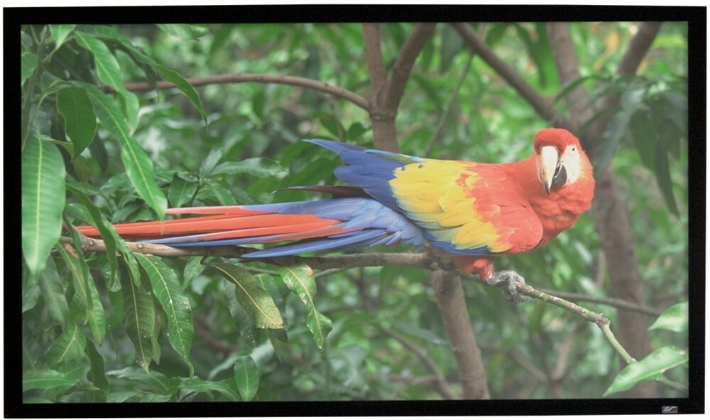 Ecrane Elite CineGrey 5D