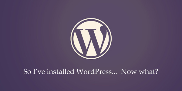 Guia de Otimização do Wordpress