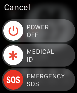 2 AppleWatchHealthの機能SOS