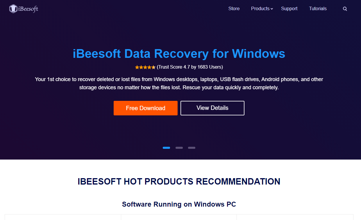 iBeesoft Recupero Dati