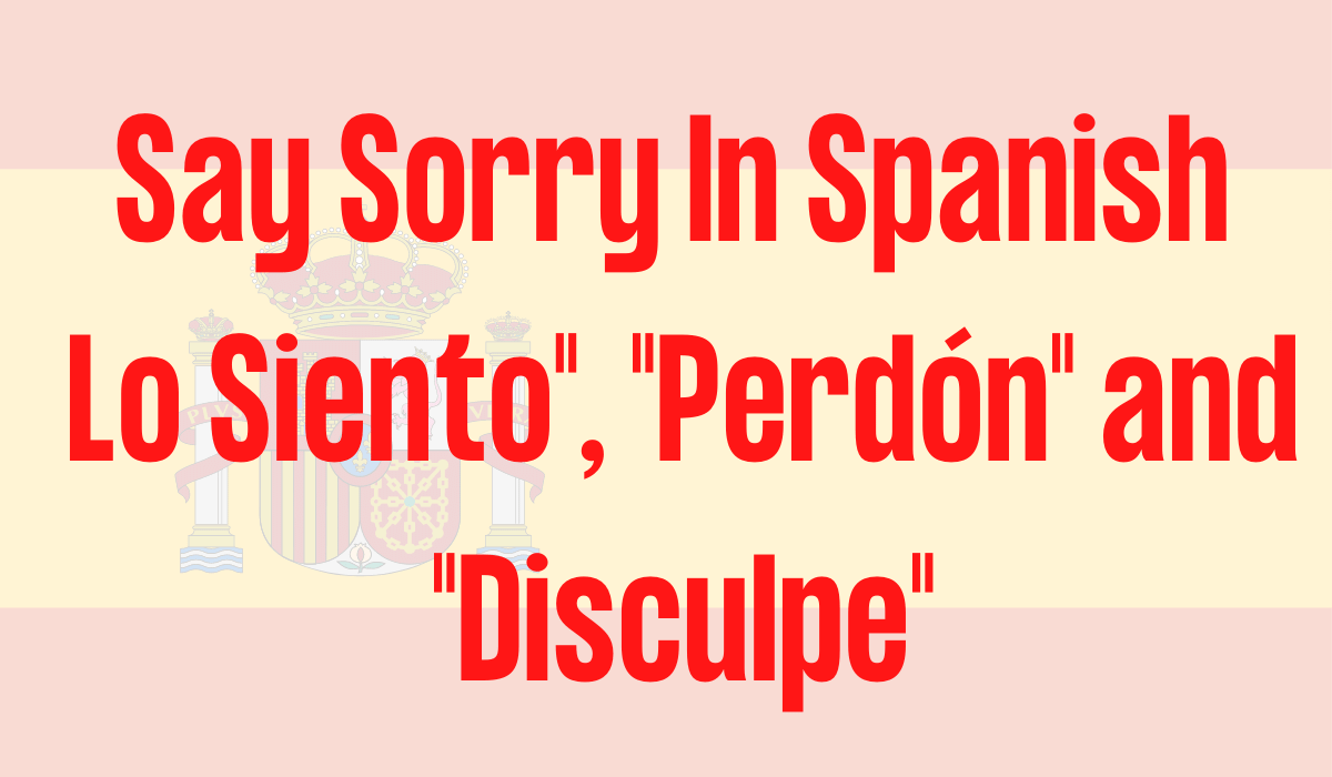 스페인어로 미안하다고 말하세요", "Perdon", "Disculpe"