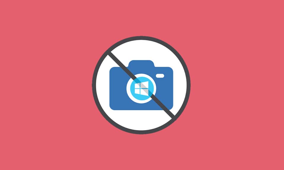 Arreglar 0xC00D36D5 No hay cámaras conectadas en Windows 10
