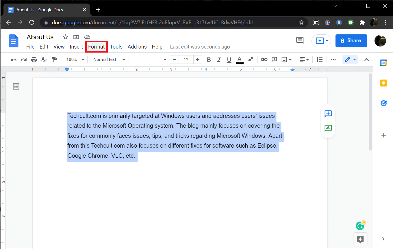 Google Docs 文档视图。