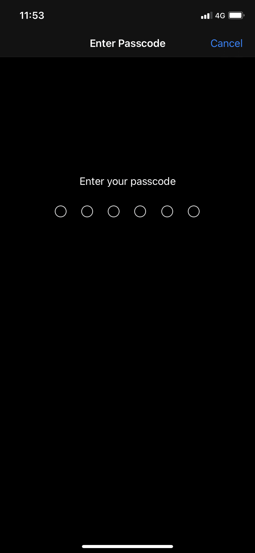 Inserisci il tuo codice di accesso. Come risolvere il problema di archiviazione completa dell'iPhone | Come risolvere il problema di archiviazione completa dell'iPhone
