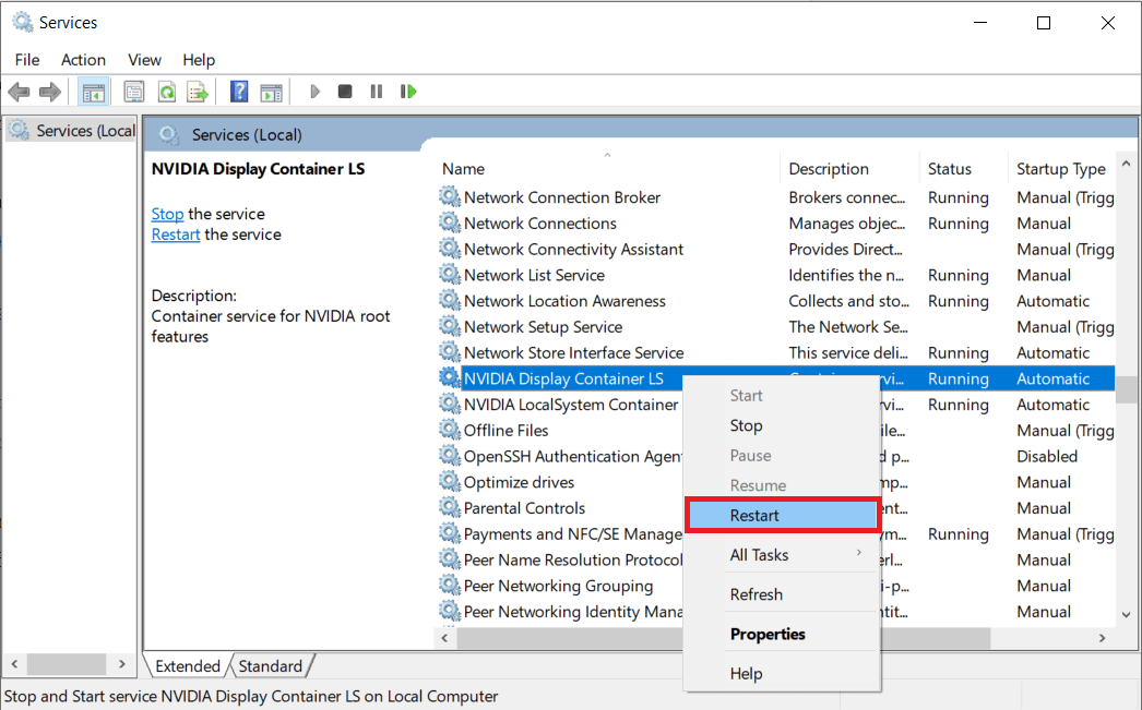 riavviare nvidia display container LS