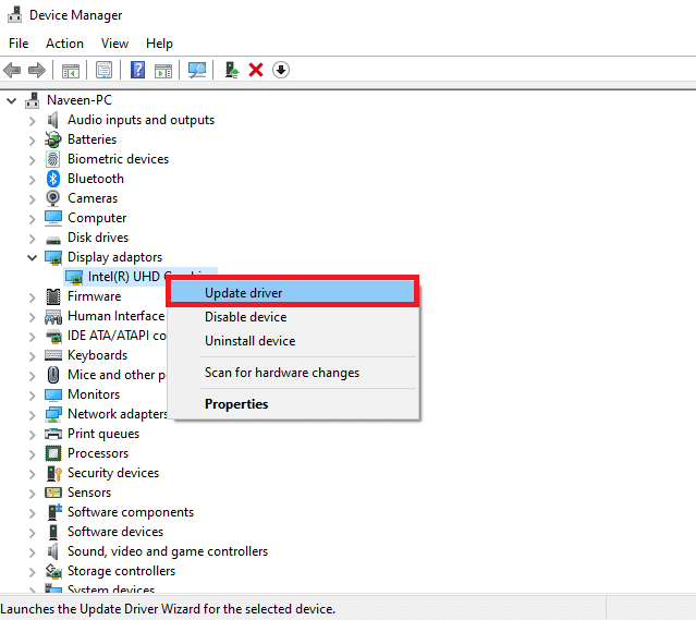 Grafik sürücülerini güncelleyin. Windows 10'da BattlEye Hizmeti Yüklenemedi Düzeltme