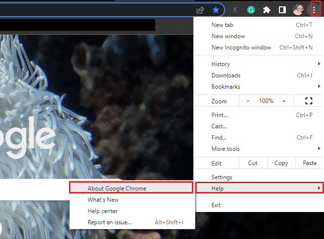 despre google chrome