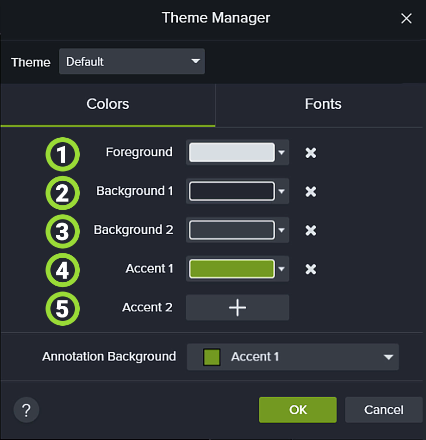 Schermata di Camtasia della funzione Theme Manager