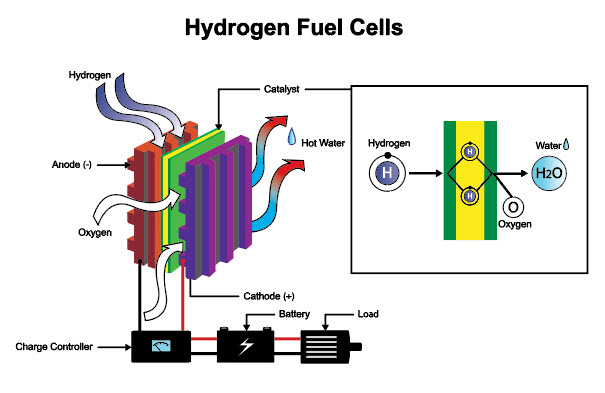 Schema di una cella a combustibile a idrogeno in un corso online di qualità