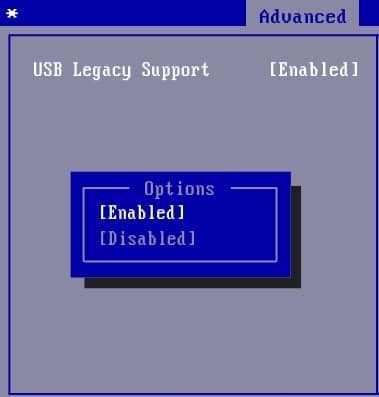 转到 USB 配置,然后启用 USB 旧版支持