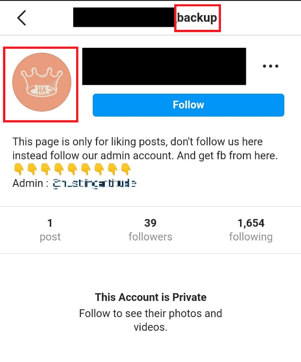 Nama Pengguna dan Gambar Profil Palsu dari akun Instagram