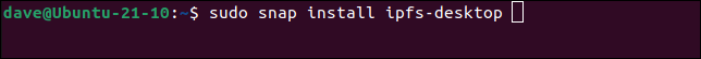 Installieren des IPFS-Desktop-Clients snap