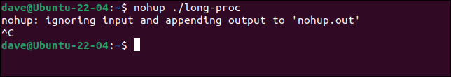 Zatrzymanie długiego procesu za pomocą Ctrl+C