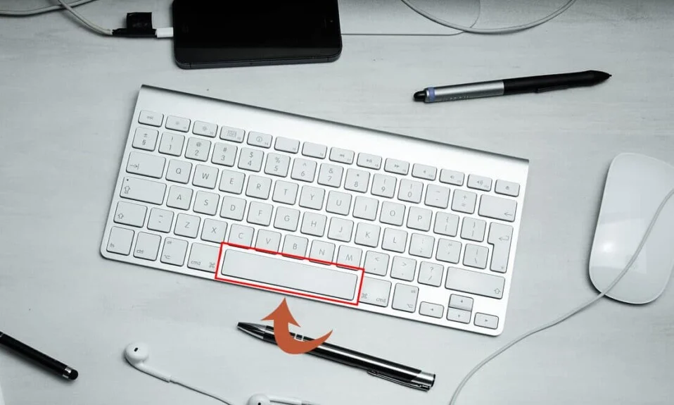 Boşluk Çubuğunun Windows 10'da Çalışmamasını Düzeltin
