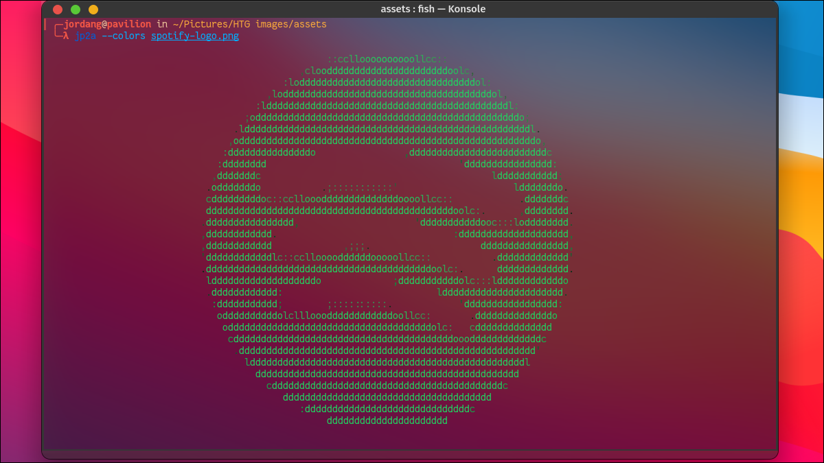 Логотип Spotify, созданный в символах ASCII в терминале Linux.