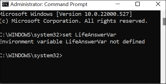 Ein neues CMD-Fenster mit undefinierter LifeAnswerVar.