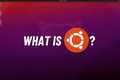 Ubuntu Nedir?