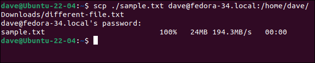 Copia di un singolo file su un computer remoto con un nuovo nome