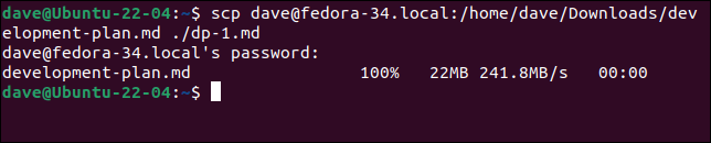 Copia di un singolo file da un server remoto nella directory corrente del computer locale con un nuovo nome