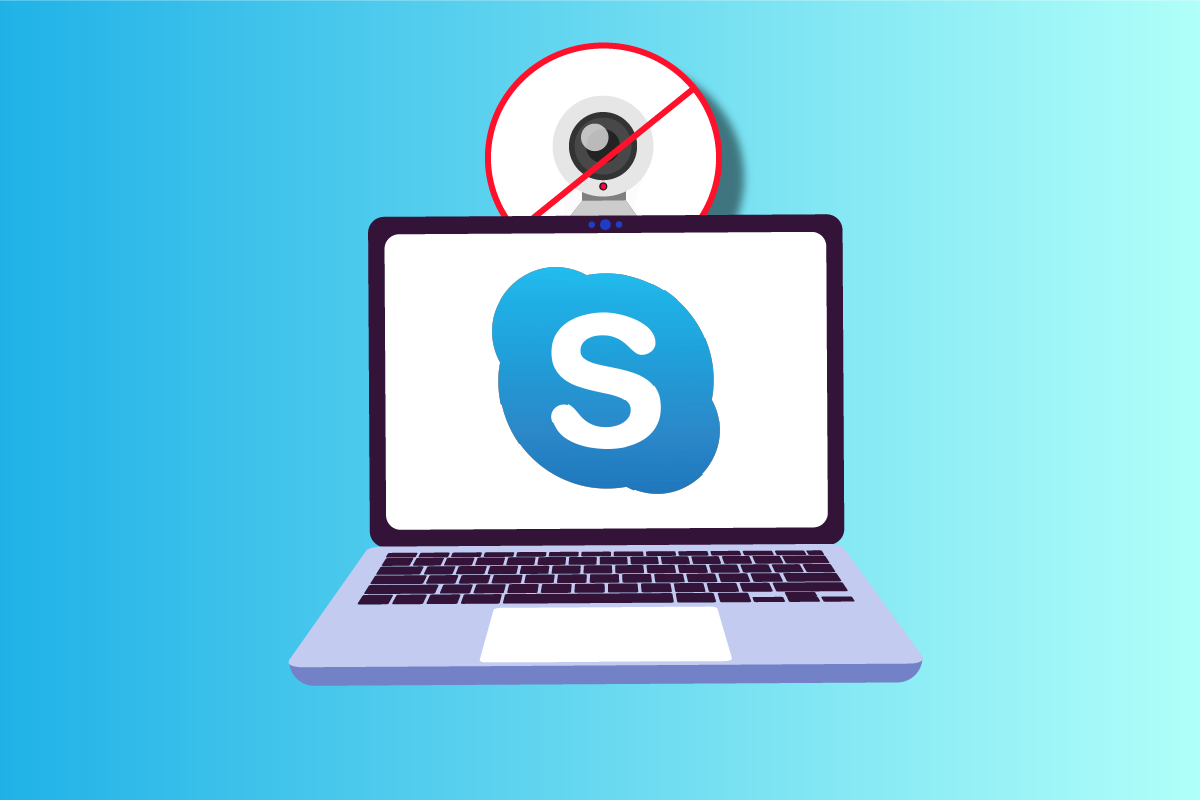 Windows 10에서 Skype 카메라가 작동하지 않는 문제 수정