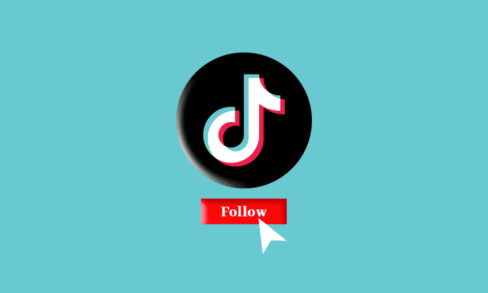Quantas pessoas você pode seguir no TikTok