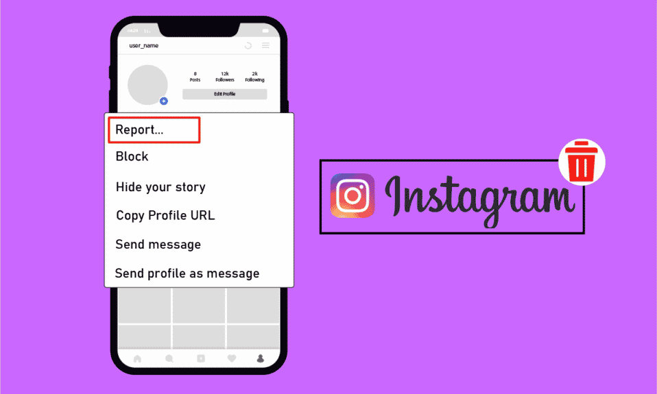 كم عدد التقارير اللازمة لحذف حساب Instagram