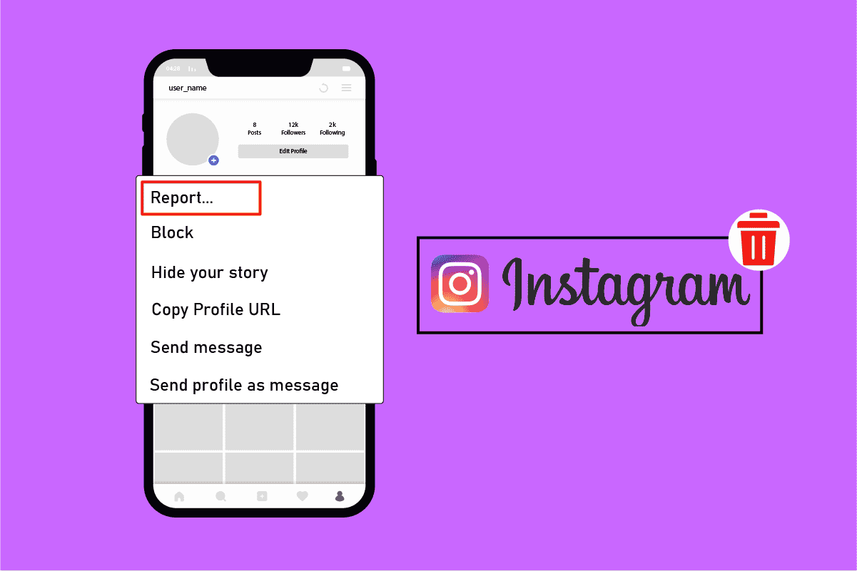 Quanti rapporti sono necessari per eliminare un account Instagram