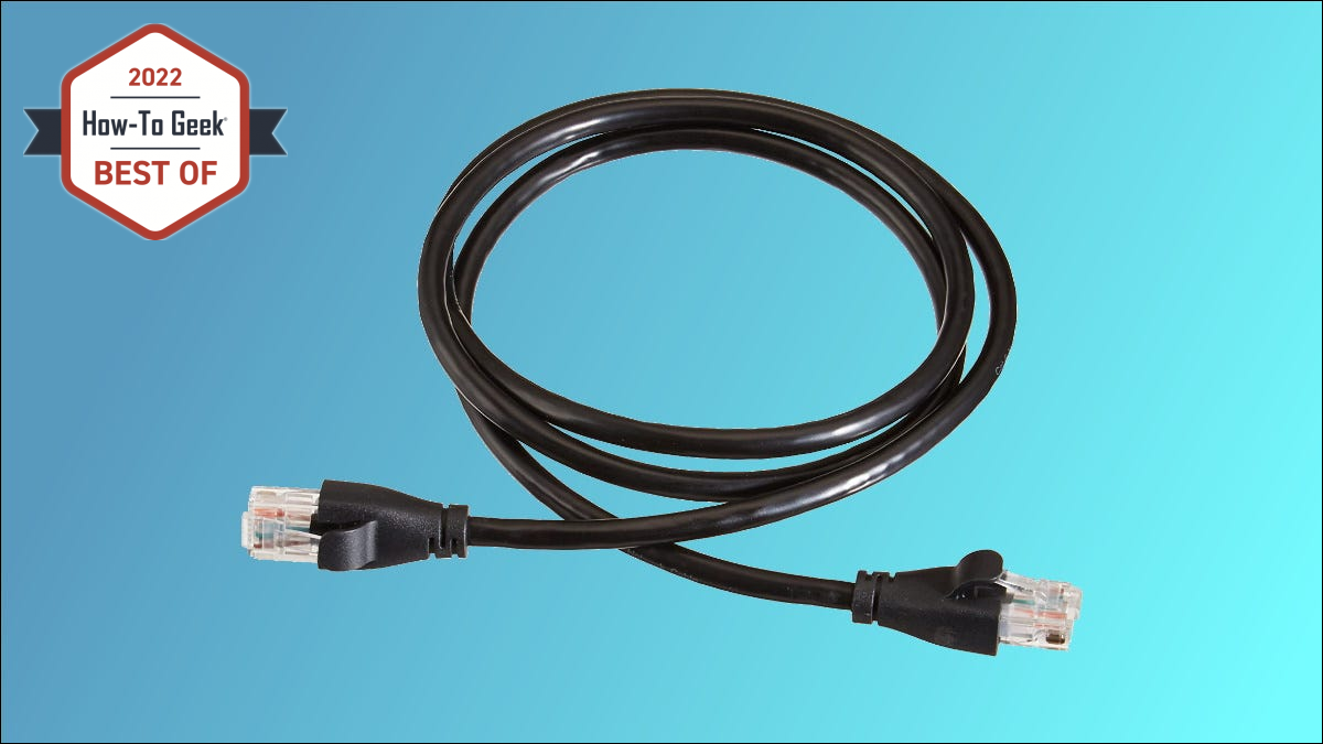 Câble Ethernet Amazon Basics sur fond bleu