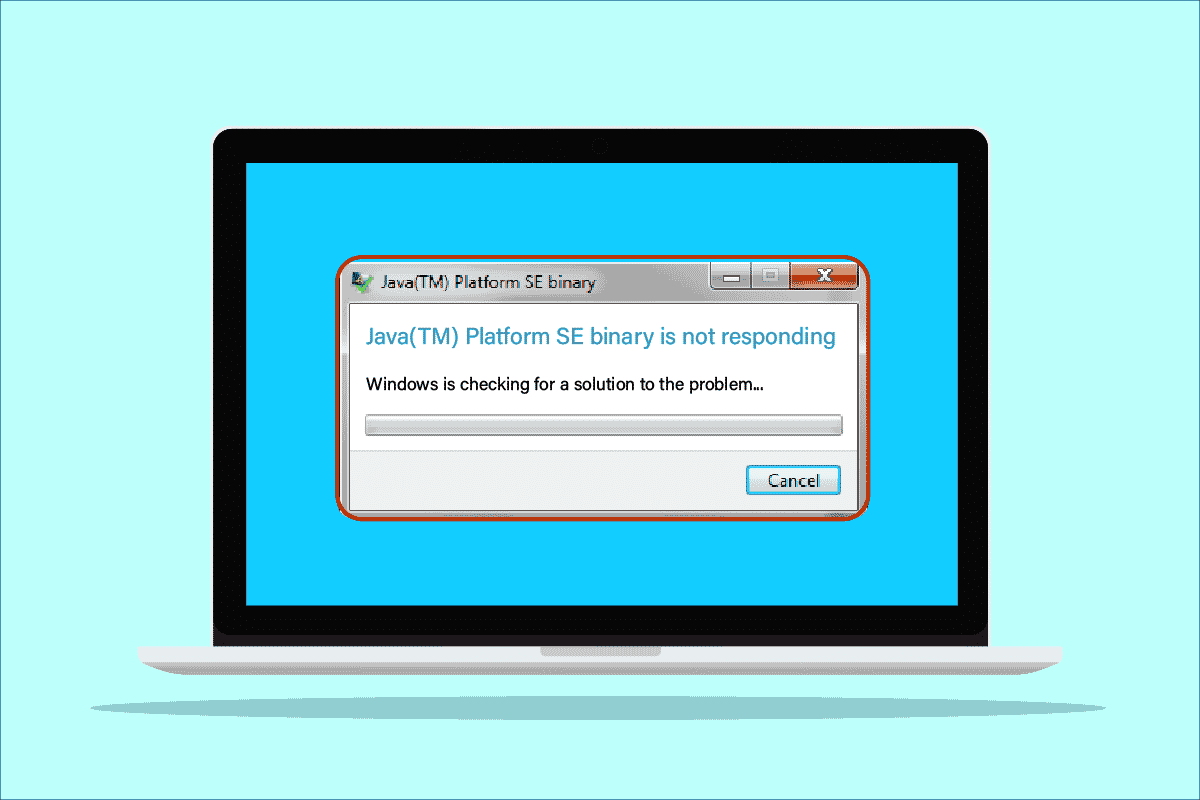 Arreglar el binario Java TM Platform SE que no responde en Windows 10
