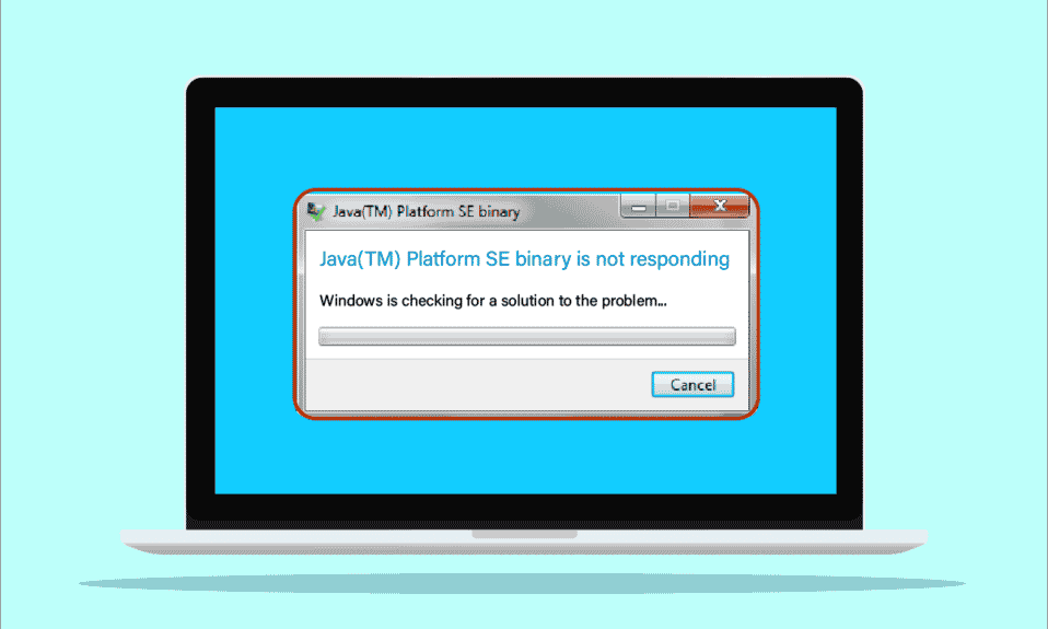 Arreglar el binario Java TM Platform SE que no responde en Windows 10