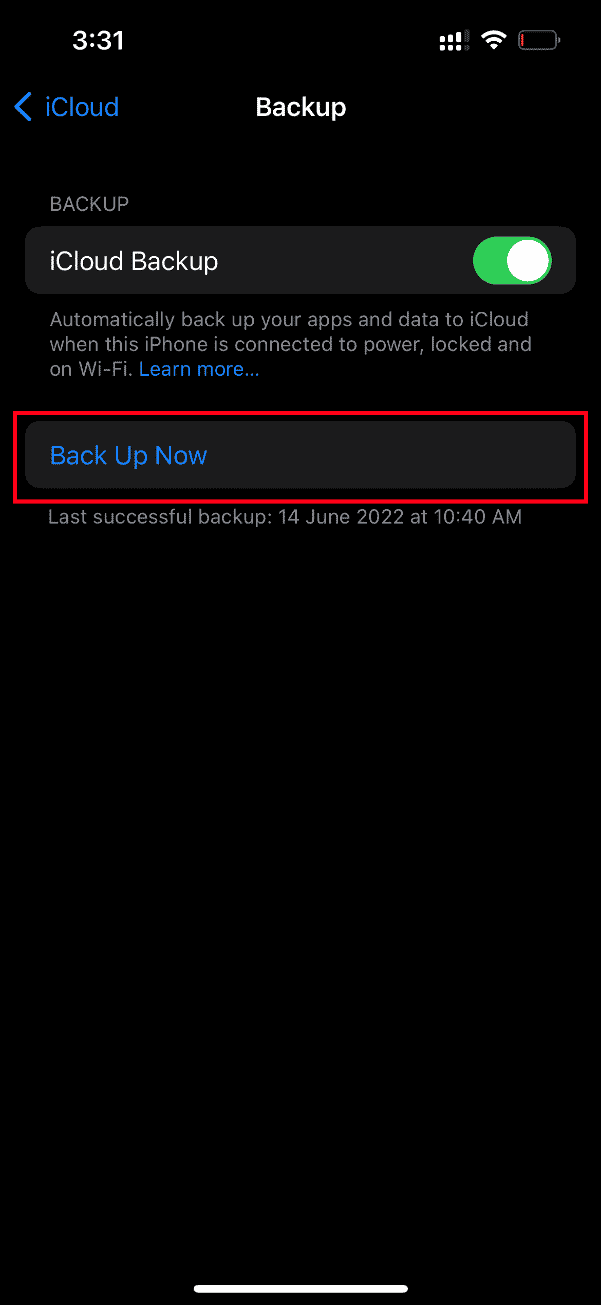 Toque em Fazer backup agora. Corrigir um erro ao carregar uma versão de alta qualidade desta foto no iPhone