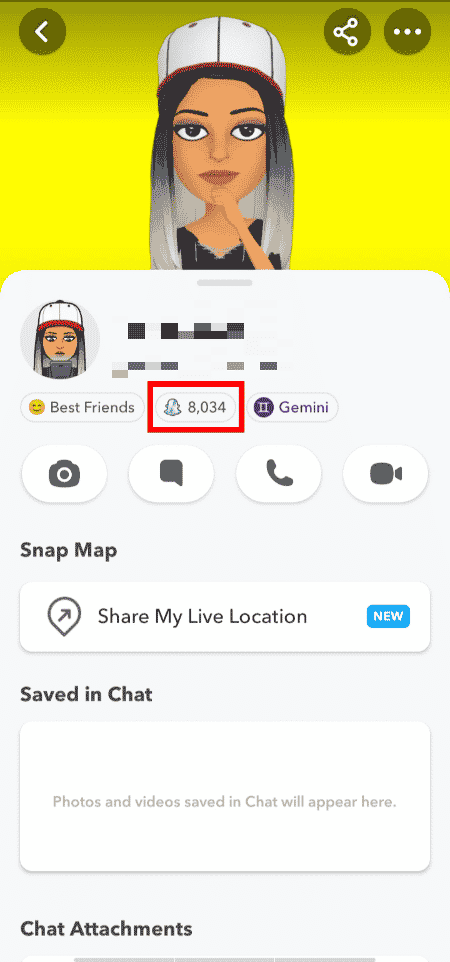 프로필 이름 아래의 Snap Score 확인