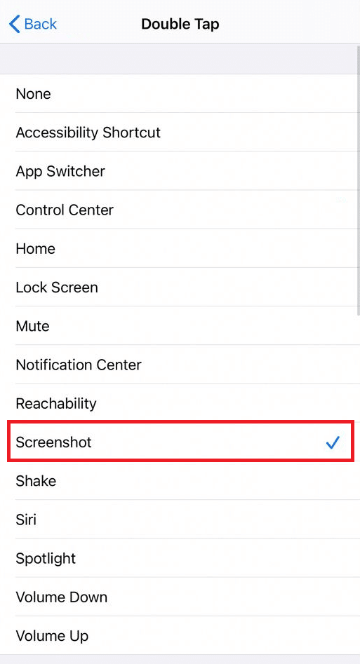 オプションのリストからスクリーンショットを選択します| iPhoneでスクリーンショットを無効にする方法