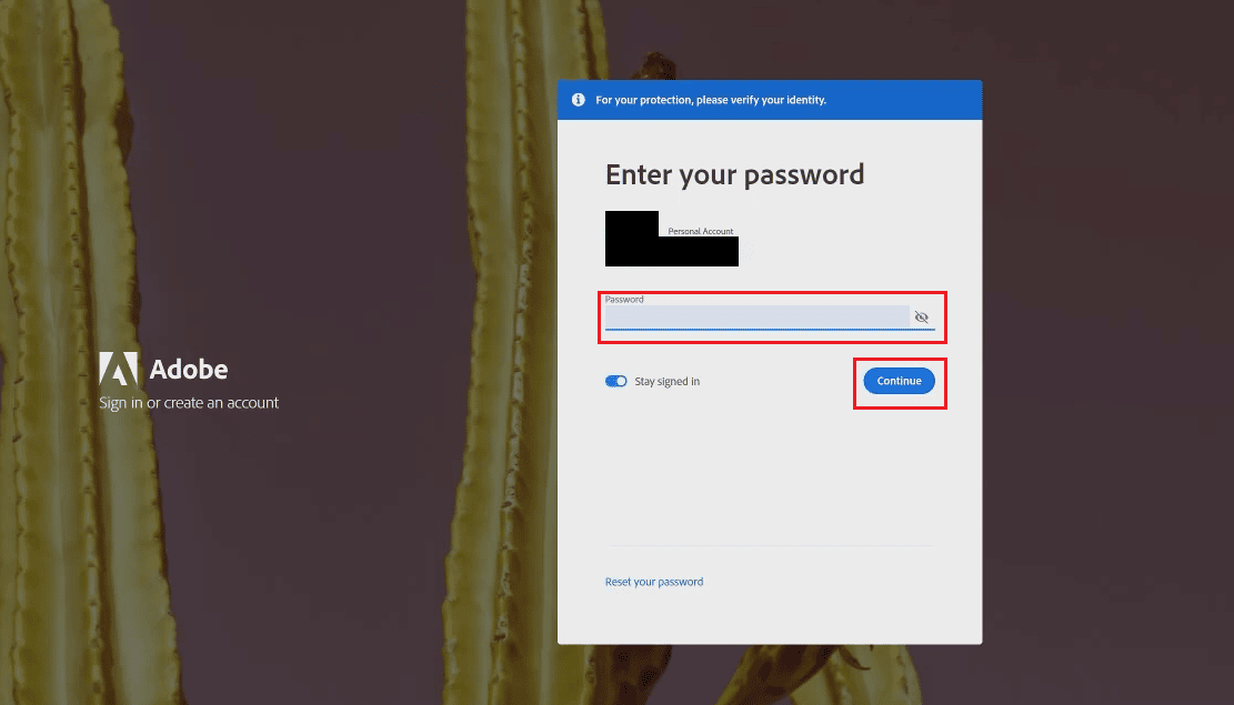 Adobeアカウントのパスワードを入力し、[続行]をクリックします