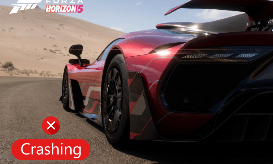 修复 Windows 10 中的 Forza Horizon 5 崩溃