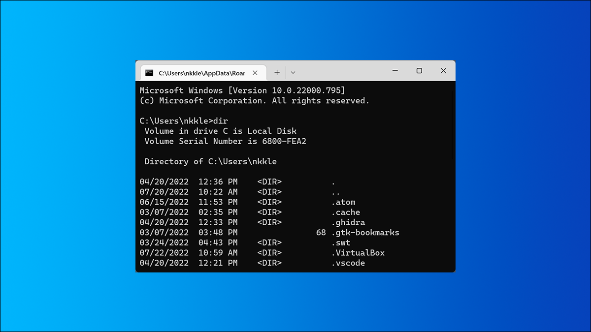Encabezado DIR. Símbolo del sistema sobre fondo azul de Windows.