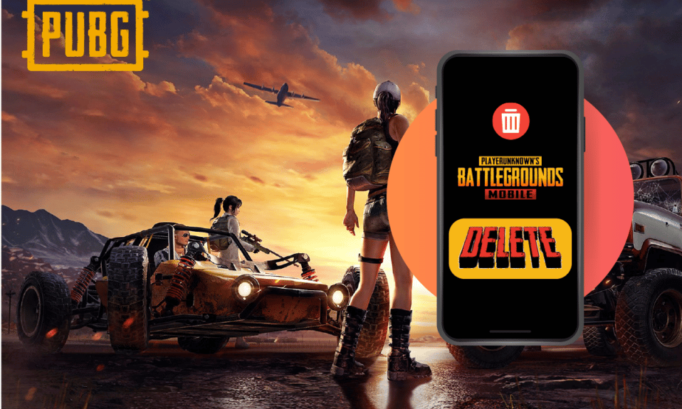 Как навсегда удалить свою учетную запись PUBG Mobile