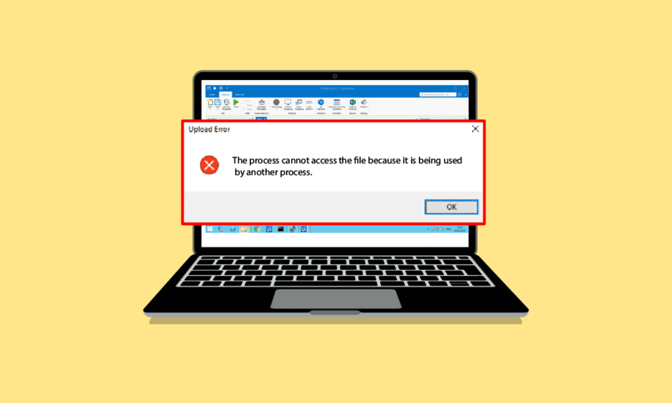 Correggi l'errore BitTorrent a cui il processo non può accedere