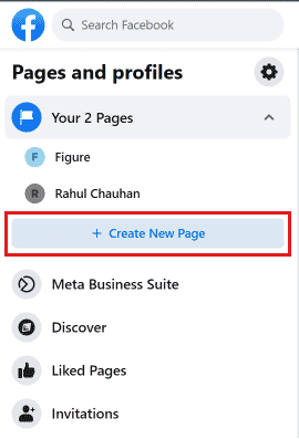 Fare clic su Crea nuova pagina. | Come aggiungere un altro account Facebook