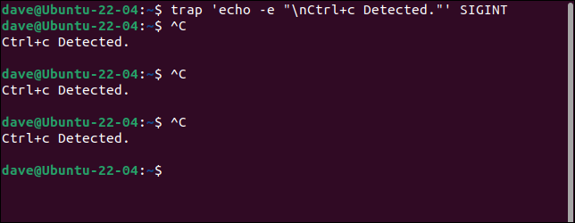 Captură Ctrl+C pe linia de comandă