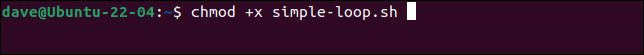 Realizarea unui script executabil cu chmod