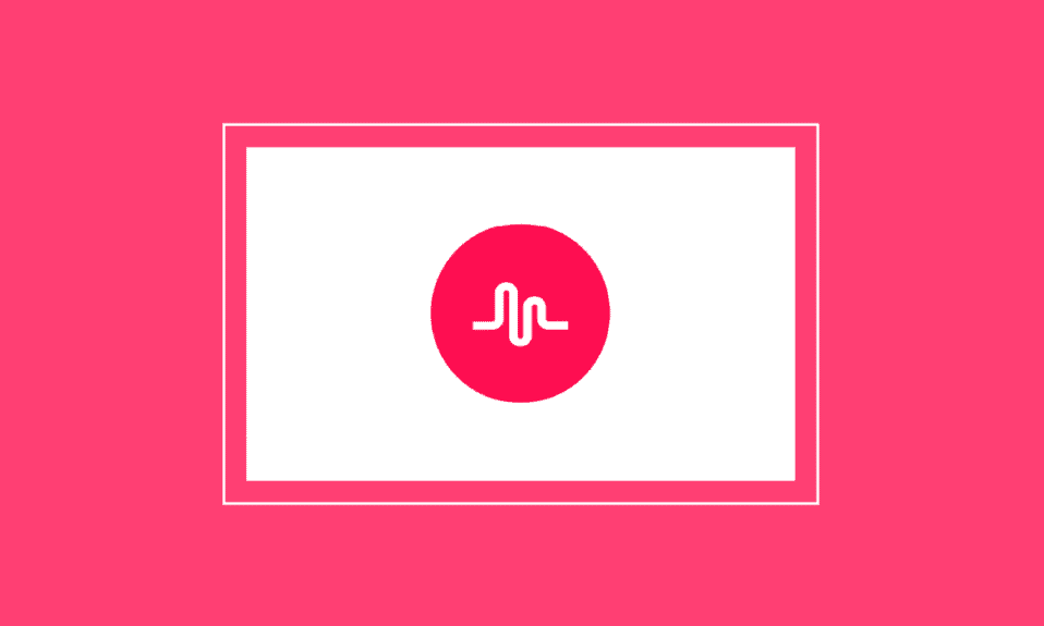 アカウントを取得するために Musically に連絡する方法