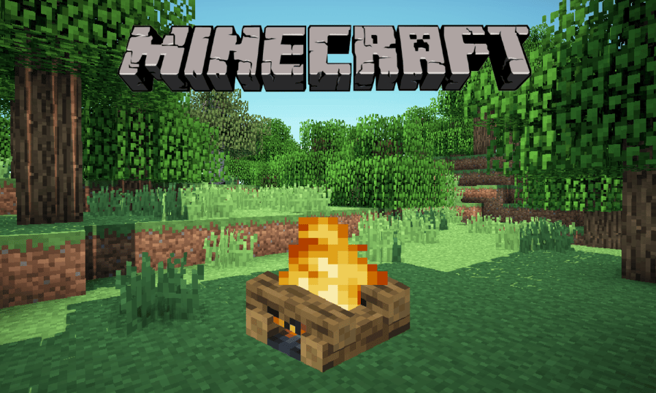 Come spegnere un falò in Minecraft