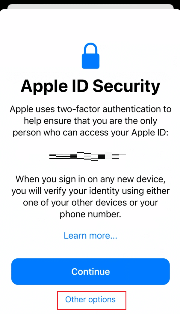 Pada layar Keamanan ID Apple, ketuk Opsi lain | Cara Masuk ke Akun iCloud Anda