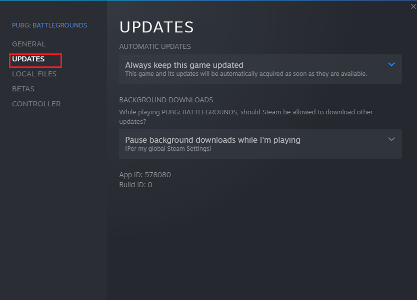 passa alla scheda AGGIORNAMENTI e controlla se ci sono aggiornamenti in sospeso in azione. Correggi il codice di errore di Steam 51 in Windows 10