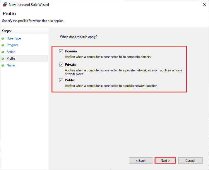 Assicurati che le caselle Domain Private Public siano selezionate e fai clic su Avanti. Correggi il codice di errore di Steam 51 in Windows 10
