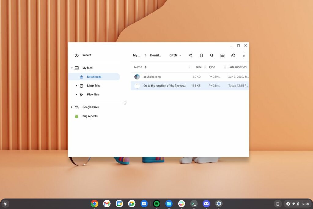 Aplicația fișiere Chromebook